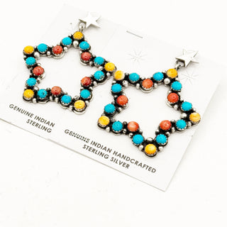 Charles Johnson Rainbow Star Earrings