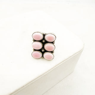Pink Conch Treasure Trove