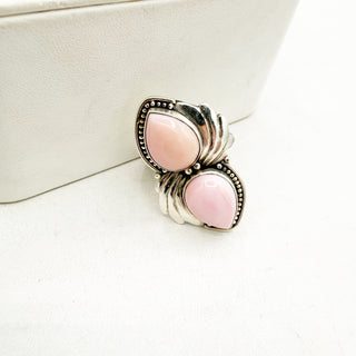 Pink Conch Treasure Trove