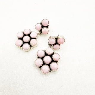 Pink Conch Treasure Trove