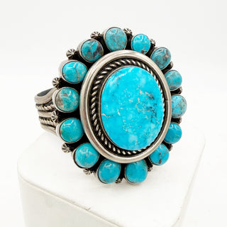 Harley Jake Blue Ridge Master Set