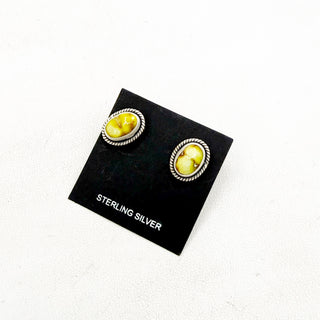 Palomino Killer Studs