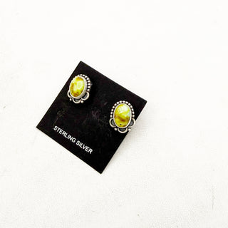 Palomino Killer Studs