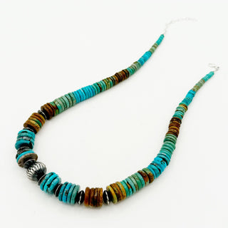 Hespera and Crystal Hailey Rainbow Turquoise Necklace